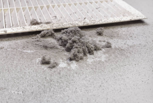 Best Residential Air Duct Cleaning  in Carey, ID
