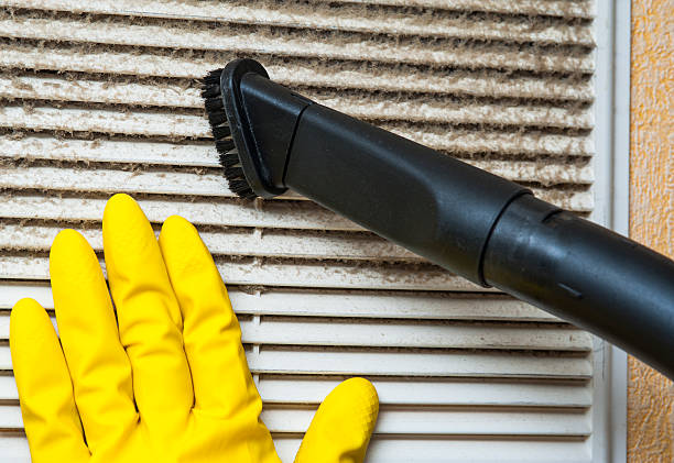 Best Ductwork Cleaning Services  in Carey, ID